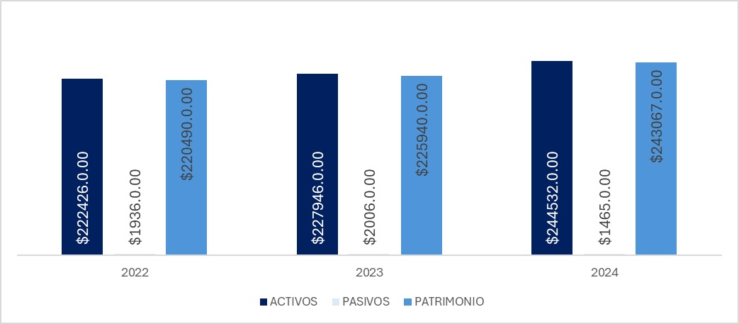 Activos Gráfico